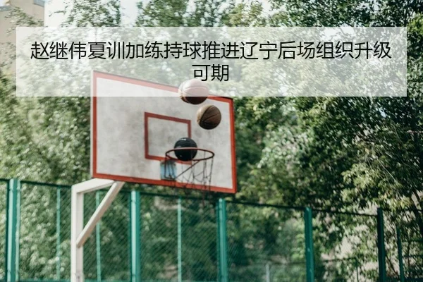 赵继伟夏训加练持球推进辽宁后场组织升级可期
