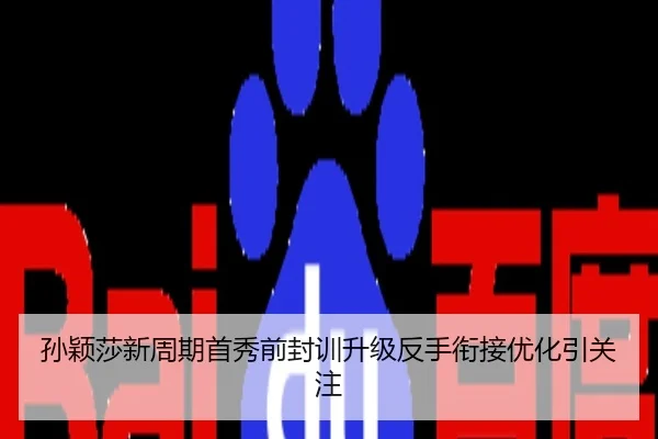 孙颖莎新周期首秀前封训升级反手衔接优化引关注